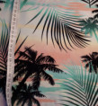 /album/tyger5/hawaii-copy-1223x1332-jpg/