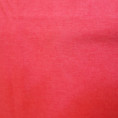 /album/tyger7/rosa-melerad-cp-jpg/