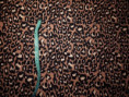 /album/tyger7/softleo-copy-585x439-jpg/